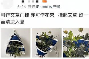 德罗赞：像德拉蒙德这样的篮板手已经很少见了